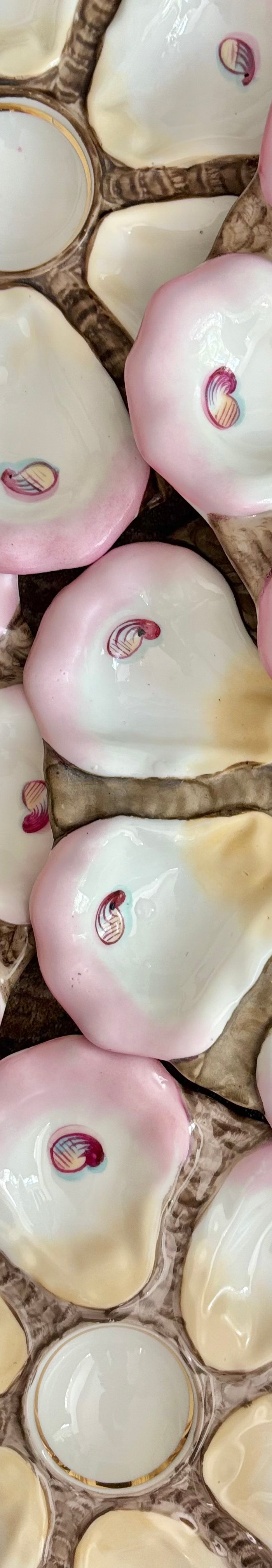 <h1>Elevated Sustainability</h1>