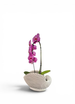 Vintage Coastal Planter