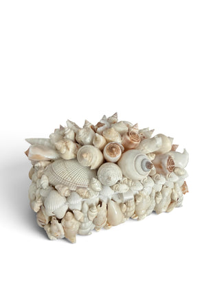 The Pearl Shell Box