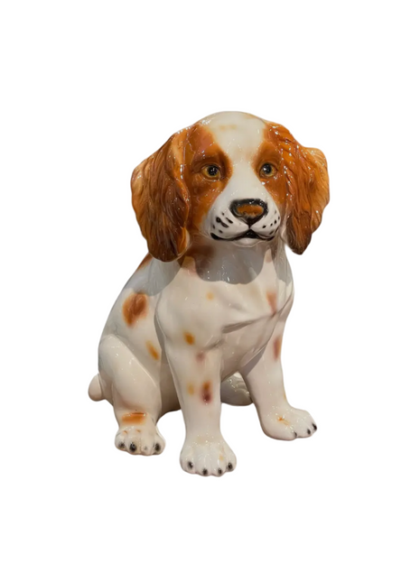 King Cavalier Charles Spaniel: Made in Italy